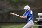 Softball vs Babson  Wheaton College Softball vs Babson College. - Photo by Keith Nordstrom : Wheaton, Softball, Babson, NEWMAC